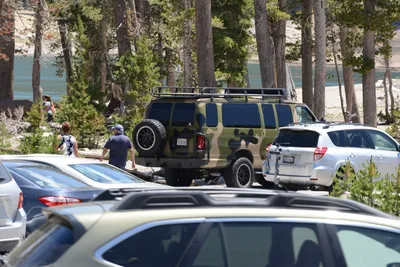 DSC_3172 (Large).JPG